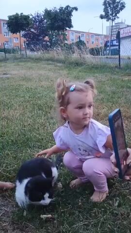 Two young children are interacting with a black and white cat in a grassy outdoor area. A mobile phone is being held to record the scene. The children are wearing casual clothing, and the environment appears to be a park or yard with buildings and trees in the background. The cat is lying down in the grass.