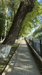 Morning along Osh City's riverside promenade