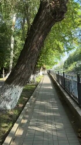 Morning along Osh City's riverside promenade