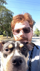 Man takes selfie video with dog in Tel Aviv