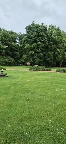 The video shows a park with lush green grass and trees. Several white benches are placed throughout the park. A walking path winds through the grass. In the distance, a small yellow structure, possibly a playhouse, is visible. Some people are walking near the structure. The sky is overcast.