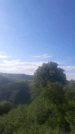 Panoramic video captures lush Armenian hills under clear skies