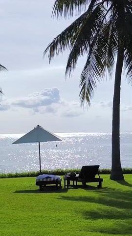 The video depicts a serene tropical beach scene. A green lawn stretches towards a shimmering body of water. A large white sun umbrella shades a striped lounge chair. A dark sun lounger sits nearby, accompanied by a small table. A tall palm tree stands to the right of the frame. The sky is partially cloudy. The scene is peaceful and evokes a sense of relaxation.