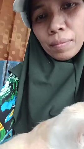 A close-up shot shows a woman wearing a dark green hijab and a white cap. She is holding a light-colored cat. The cat has light orange markings on its ears and face. The woman's face is partially visible. The background appears to be indoors with a patterned curtain. The woman is looking towards the camera.