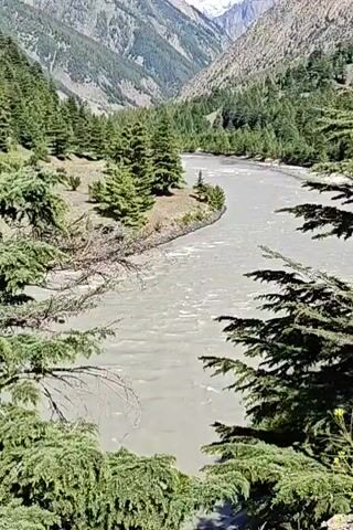 The video shows a wide, murky river flowing through a valley. The riverbanks are lined with pine trees. In the background, tall, barren mountains rise up, their peaks dusted with snow. The sky is a clear blue with a few scattered white clouds. The camera is positioned at an elevated angle, looking down at the river and valley. There are no people or animals visible in the video. The overall scene depicts a natural, remote landscape.