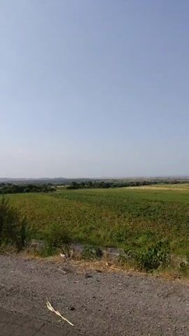The video shows a landscape with a clear sky and lush green fields. There are trees on the left side of the frame, with their leaves rustling in the wind. In the distance, a few small figures are visible, possibly people walking or working in the fields. The ground in the foreground appears to be a dirt road or path. The overall impression is one of a peaceful rural setting on a sunny day.