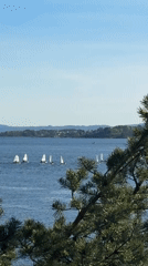 Afternoon documentation captures lakeside, selfie, and urban architectural scenes