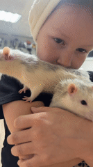 Girl displays pet rats in Dubovaya, Russia