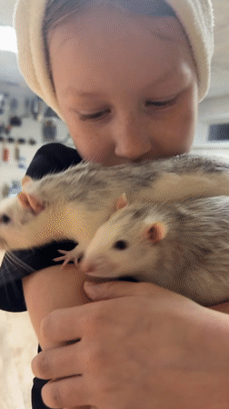 Girl displays pet rats in Dubovaya, Russia
