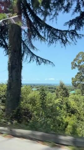 The video begins with a shot of a tree branch against a clear blue sky. The camera then pans to reveal a dense green landscape with distant hills and a body of water. As the camera continues to move, it captures a glimpse of a yellow van and a white truck parked near a tree. The video concludes with a view of two small roadside stalls, one with a white canopy displaying fruits and vegetables, and the other, a darker structure with produce visible. The scene appears to be a rural area with a clear sky and lush vegetation, suggesting a warm, sunny day.