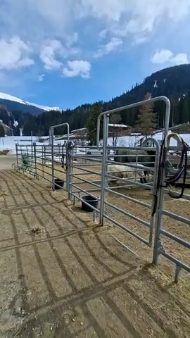 The video shows a horse pen with metal fencing on a sunny day. In the background, there's a snowy hillside, trees, and a few buildings. Inside the pen, there are horses, hay, and black buckets. A riding harness is hanging on the fence. The ground around the pen is a mix of dirt and straw. The sky is blue with scattered white clouds.