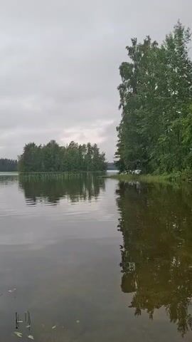 The video shows a body of water, likely a lake, with a small island covered in trees in the distance. The sky is overcast, and the water is calm, reflecting the trees on the island and the shoreline. Tall trees are visible on the right side of the frame, with their reflections also appearing in the water. The foreground shows the shallow edge of the water with some plant life. The scene is tranquil and natural.