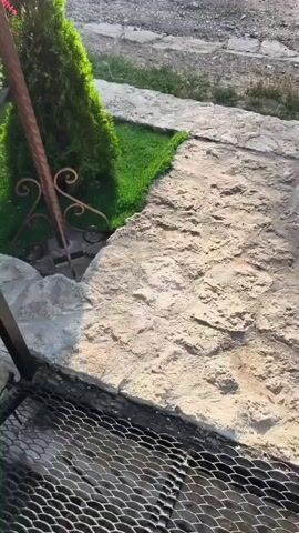 The video begins with a close-up of a metal grate and then pans up to reveal a set of stone steps leading to a landscaped area. The camera then moves to show a row of conical evergreen trees lining a stone wall, with orange ribbons tied to a string running between them. The scene then shifts to a view of a small, irregularly shaped pond with a stone border, surrounded by grass and more evergreen trees. The video concludes with a wider shot of a multi-tiered rock garden with a small waterfall flowing into the pond. The overall setting appears to be an outdoor garden or park area.