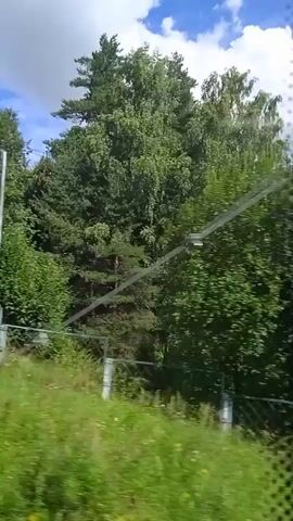 The video is a POV shot from a moving vehicle, likely a train or bus, looking out a window at a lush, green landscape. The foreground is dominated by tall, green grass with some yellow wildflowers interspersed. In the mid-ground, there's a fence with white posts, and beyond that, a line of trees and more vegetation. The sky above is blue with scattered white clouds, and power lines are visible stretching across the frame. The lighting suggests it is daytime, likely summer. The overall impression is one of a scenic, rural journey.