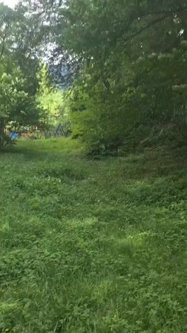 The video pans across a grassy area with trees and a playground in the background. It appears to be a park or recreational area in a natural setting, possibly Shaki, Azerbaijan. The time of day seems to be daytime, with sunlight filtering through the trees, suggesting pleasant weather. There are no people visible in the video, but the presence of playground equipment implies it's a place for children to play. The scene is lush and green, with tall trees and abundant grass, indicating a thriving natural environment. The video moves smoothly, suggesting it was filmed while walking or driving slowly through the area. There is no visible text in the video.