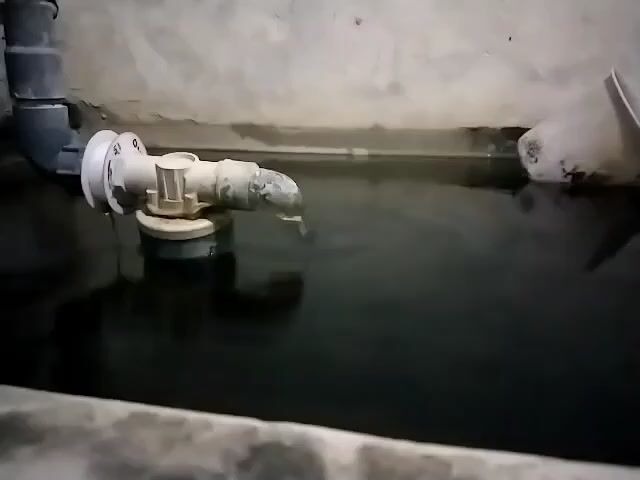 A close-up shot focuses on a PVC pipe with a white fitting and valve, attached to a larger grey pipe, protruding over a dark, still body of water. Water is seen dripping from the end of the PVC pipe, creating small ripples on the surface of the water. The water appears to be contained within a concrete structure, with rough, uneven walls visible in the background and foreground. A white plastic object, possibly a funnel or scoop, is partially visible in the upper right corner of the frame. The lighting is dim, suggesting an indoor or dimly lit environment. The scene is static, with the only movement being the dripping water.