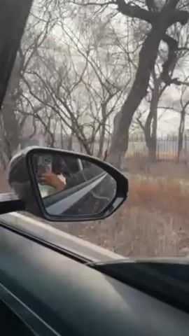 The video shows a driver operating a car on a city street. The view is from inside the vehicle, looking out of the windshield and side mirror. The driver's reflection is visible in the side mirror, showing them holding a smartphone.  The external environment includes a light-colored sky, leafless trees lining the road, other cars, and buildings. The weather appears overcast. The car's dashboard, including the infotainment screen displaying 13:09, is visible.