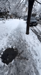 Heavy snowfall blankets Tbilisi streets and vehicles