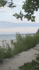 Evening stroll on a calm Baltic beach in Kulikovo