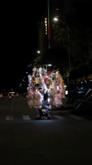 Motorcycle carries plush toy collection through Đà Nẵng streets