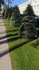 Morning documentation of public art and landscaping in Chaikovsky