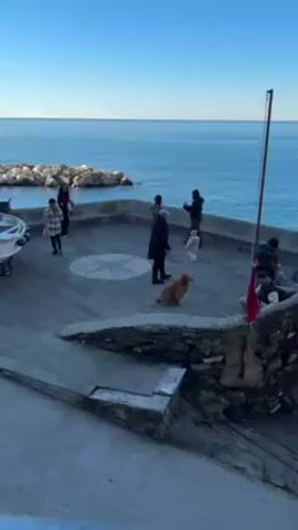 The video shows a sunny outdoor scene by the sea. A stone patio features a group of people, including a young child in a pink outfit with animal ears. A golden retriever sits on the patio. Some people are walking, while one man holds up a phone, possibly taking a photo or video. The patio is made of grey stone tiles with a decorative circular pattern in the center. A low stone wall borders the patio, and steps lead up to it. In the background, the blue sea is visible, with a breakwater of large rocks. A small boat is docked on the left side of the screen. A tall pole with a flag is on the right side of the scene, and another group of people is sitting down nearby.