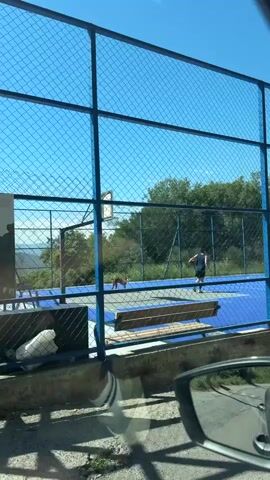 The video shows a person playing basketball on a blue court, seen through a blue fence. A dog is also on the court, standing near the basketball hoop. The person is wearing a dark shirt and shorts and is dribbling the basketball. The dog appears to be a medium-sized, tan-colored breed. The court is outdoors, with trees and a blue sky visible in the background. There is a bench on the left side of the court. The camera appears to be in a vehicle, as indicated by the reflection of the vehicle's side mirror in the lower right corner of the frame.