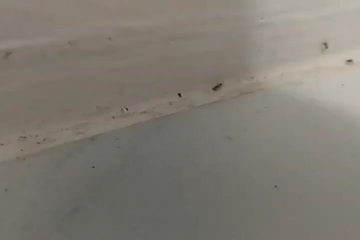 The video shows a close-up of a white surface with a seam. There are several small, dark spots or objects along the seam. The overall appearance is slightly dirty or dusty.