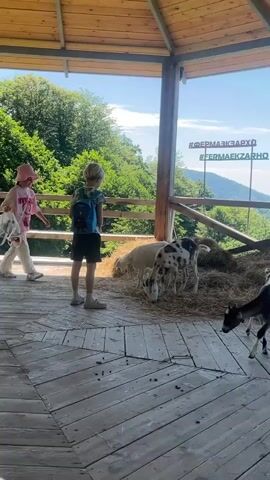 A young child with a backpack stands on a wooden platform, observing several goats in an enclosure. Two goats are eating hay, one is white and the other is spotted black and white. A third goat, black and white, is in the foreground, also eating. The platform overlooks a lush, green valley with mountains in the distance under a clear blue sky. Signage with hashtags #фермаекзархо and #FERMAEKZARHO is visible in the background. The scene appears to be a farm or petting zoo with a scenic view.