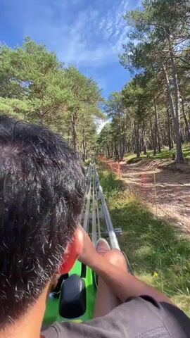 The video shows a first-person perspective of someone riding a luge-like roller coaster through a forest. The rider's dark hair is in the foreground. The track is made of metal rails and runs between tall pine trees with green foliage and some dry ground. The sky is blue with some white clouds. Orange and yellow markers are visible along the sides of the track in the distance. The rider's legs and feet are visible in the frame, wearing sneakers. They appear to be holding a phone in their right hand. The overall impression is a fast-paced ride in a natural, wooded environment.