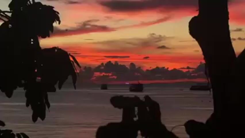 A silhouetted view of a coastal sunset is shown. The sky displays a vibrant mix of colors, with shades of red, orange, and yellow blended together above a layer of gray clouds. The ocean stretches out to the horizon, with a few boats silhouetted against the fading light. In the foreground, two silhouetted tree trunks and leaves frame the view, adding depth to the scene. A pair of hands can be seen in silhouette near the center of the frame, holding what appears to be binoculars. The scene is peaceful and serene, capturing the natural beauty of a sunset over the sea.