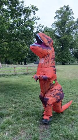 The video shows a person in an inflatable orange and brown Tyrannosaurus Rex costume standing on a grassy field. Behind the person is a wooden fence and several large green trees. The person is standing still, facing left, with their head slightly tilted up. The costume has a green fan on the side. The weather appears to be overcast.