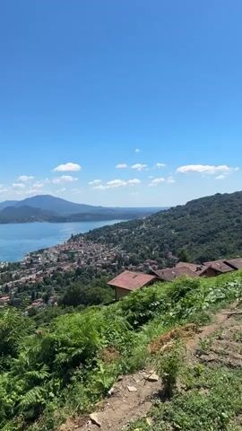 This is a vertical, handheld video shot from a high vantage point overlooking a town situated on the shore of a large lake. The sky is a clear, bright blue with a few scattered white clouds. The lake is calm and reflects the blue sky. On the far side of the lake, there are rolling hills and mountains. The town itself is densely populated with buildings clustered together. Many of the buildings have red-tiled roofs. The town is surrounded by lush green vegetation, including trees and bushes. In the foreground of the video, there is a patch of overgrown green ferns and some dry, disturbed earth, suggesting a trail or a less maintained area. A few houses with red roofs are visible on the hillside in the mid-ground. The overall impression is a picturesque, sunny day in a scenic, likely European, location. There are no people visible in the video.