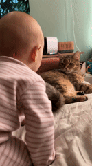 Baby plays with cat and TV remote in Moscow home