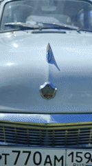 Vintage Soviet car show draws crowds to grassy exhibition field