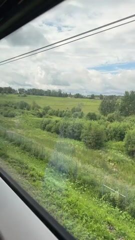 This is a video of a rural landscape with a grassy field, scattered trees and bushes, and a few houses in the distance. The sky is partly cloudy with some patches of blue. Several birds are flying in the sky above the field. A fence is visible in the foreground. The camera appears to be moving, possibly from a vehicle, as indicated by the slight motion blur and the way the scene shifts.