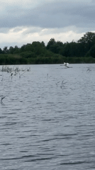 Angler catches fish during lakeside fishing session in Russia