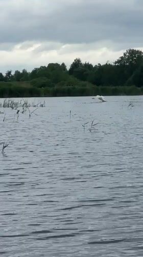 Angler catches fish during lakeside fishing session in Russia