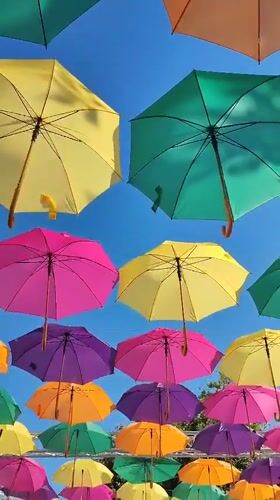 Afternoon around Plovdiv's streets, aquarium, and public art