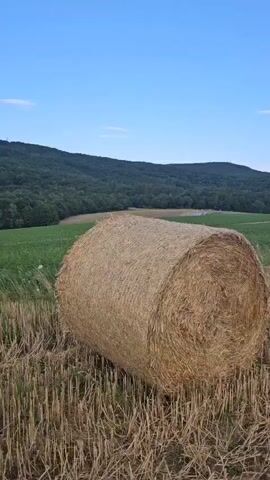 A close-up shot shows a round hay bale in a harvested field under a clear blue sky with a few scattered clouds. The field is covered with stubble from the harvested crop. In the background, rolling hills covered in green trees and fields create a picturesque landscape. The camera slowly pans to the right, revealing more of the harvested field stretching towards the horizon and the distant hills. The lighting suggests it is either early morning or late afternoon. There are no people or animals visible in the video.