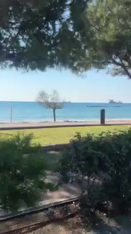 From inside a moving vehicle, the scene is a sunny coastal view. The calm blue ocean stretches to the horizon, with a few distant ships visible. A sandy beach lines the coast, bordered by a green grassy area.  Several trees, including a larger pine, stand between the road and the beach. A few people are visible on the beach. A trash receptacle stands near the larger tree.