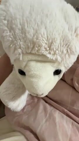 The video shows a close-up of a white plush seal toy. The seal has black eyes and is lying on a pink and white striped blanket. The camera is held above the seal, looking down. The seal appears to be moving slightly, possibly being held by someone.