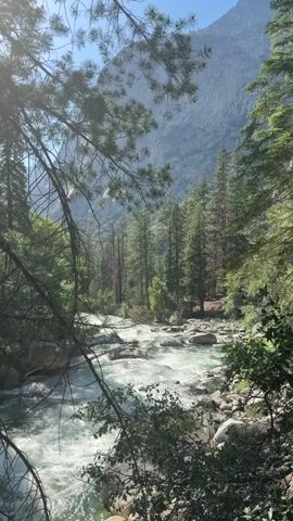 A fast-flowing river winds through a rocky gorge, framed by lush green trees and towering mountains. Sunlight filters through the leaves, dappling the water and creating a serene, natural landscape. The camera remains stationary, capturing the dynamic movement of the water and the stillness of the surrounding environment.