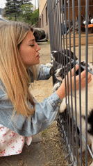 Visitors interact with caged puppies at rural Wisła location