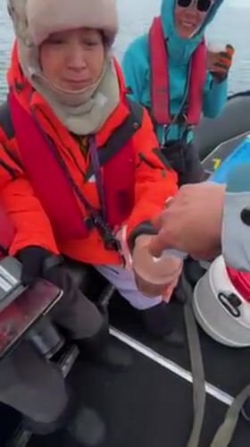 Antarctic boat passengers share drinks amid icebergs