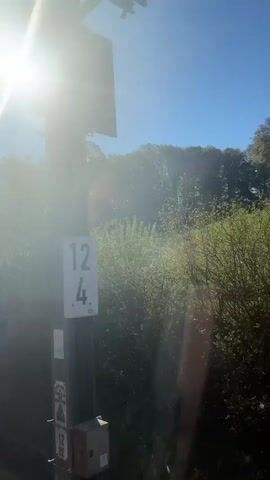 The video shows a view from inside a moving vehicle, possibly a train, looking out a window at a bright, sunny day. The sun is visible in the top left corner of the frame, causing significant glare. Outside, there is a dense forest with green trees and foliage covering a hillside. Some bare branches are also visible. The sky is blue and clear. The focus is on the passing scenery. The camera seems to be in motion, as the trees and foliage are constantly moving past. A black object is present at the bottom of the frame, obscuring the lower portion of the view.