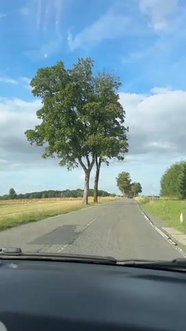 The video shows a view from inside a car traveling down a paved road. Large, leafy trees line both sides of the road, creating an avenue effect. The road appears to be in a rural area, with fields of dry grass and some distant trees visible. The sky is blue with scattered white clouds. The car's dashboard is visible in the foreground. The video is shot from a first-person perspective, as if the viewer is the driver or a passenger. The car is moving forward, and the trees and scenery are passing by. The overall impression is of a scenic drive through the countryside on a clear day.