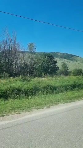 This media file depicts a view from a moving vehicle, likely a car, on a sunny day. The scene is rural, with a paved road in the foreground and a grassy field with scattered trees and bushes beyond. In the background, a large, gently sloping hill dominates the landscape, its slopes covered in light green vegetation and some darker patches that could be rock outcrops or denser foliage. The sky is a clear, vibrant blue, indicating fair weather.

The activity taking place is implied to be travel, as the camera is in motion, creating a slight blur in the foreground and a sense of movement. The time of day appears to be late morning or early afternoon, given the bright sunlight and the angle of the shadows cast by the trees on the road. The location is identifiable as Chuprene, Bulgaria, due to the associated metadata. There are no people or specific objects of interest, other than the natural landscape and the road. The overall emotion conveyed is one of peacefulness and the beauty of a natural, open landscape. There is no visible text in the media file.