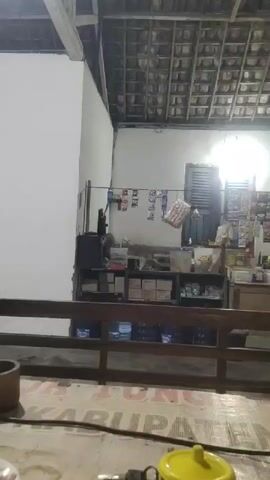 The video shows a dimly lit indoor scene, possibly a small store or shop. The ceiling is constructed with exposed wooden beams and tiles. A counter is visible, stocked with various items, including bottles of water, boxes, and packaged goods displayed on shelves and hung from the wall. There is a window with shutters and a larger window with multiple panes on the right side of the frame. In the foreground, a wooden railing separates the viewer from the counter area. On the floor in front of the railing, a power strip and a yellow object are visible. The overall impression is of a simple, functional space with goods for sale.