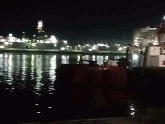 The video shows a harbor at night. A white tugboat with a red roof is docked next to a concrete pier. Beyond the pier and the tugboat, a large ship or structure, possibly a tanker or oil rig, is visible in the distance, illuminated by numerous lights. The water reflects the lights, creating a shimmering effect. Some foliage is visible in the foreground, suggesting the camera is positioned near the edge of the pier or a grassy area. The night sky is dark, and the overall lighting is dim, highlighting the artificial lights.
